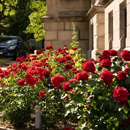 Zum Markgrafen Hotel Quedlinburg